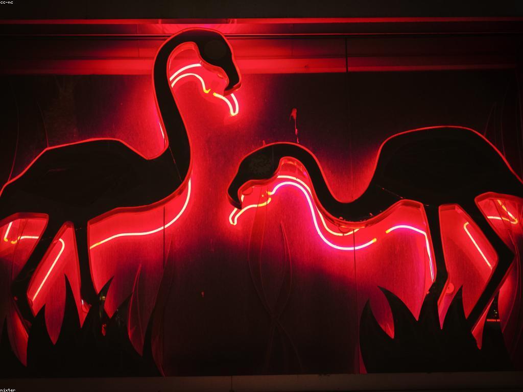 អនាគតនៃការពិភាក្សាអំពីកាស៊ីណូ