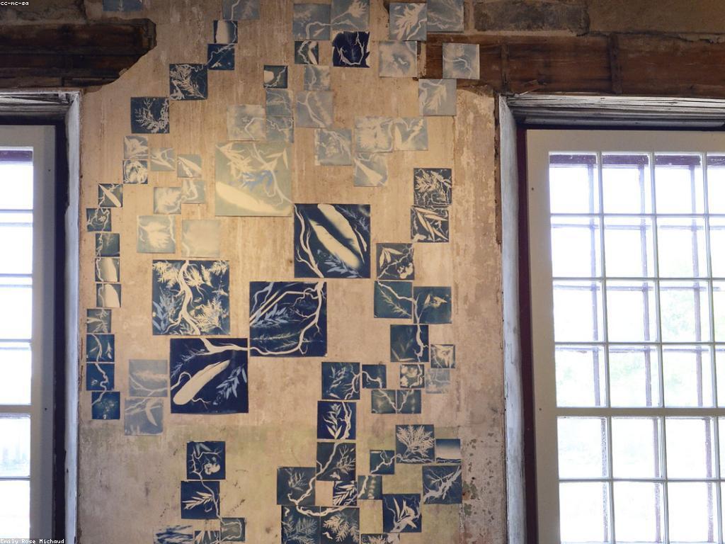 វិធីការចូលរួមជាមួយសហគមន៍តាមរយៈការអប់រំ និងគម្រោងសហការ