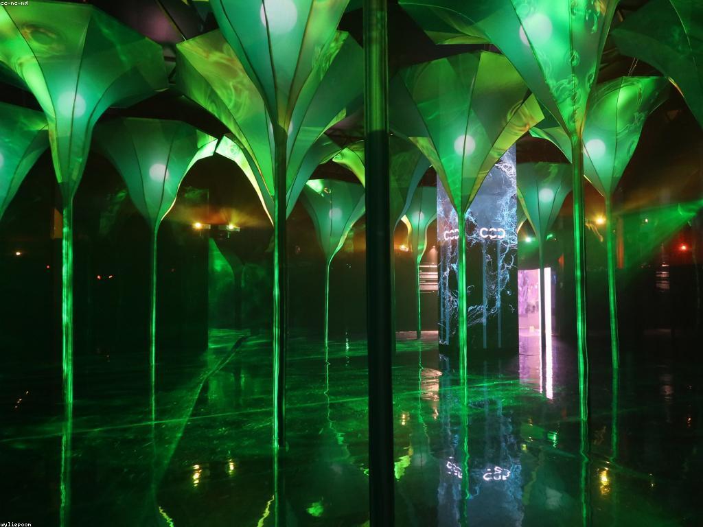 សារៈសំខាន់នៃការពិភាក្សាអំពីកាស៊ីណូ