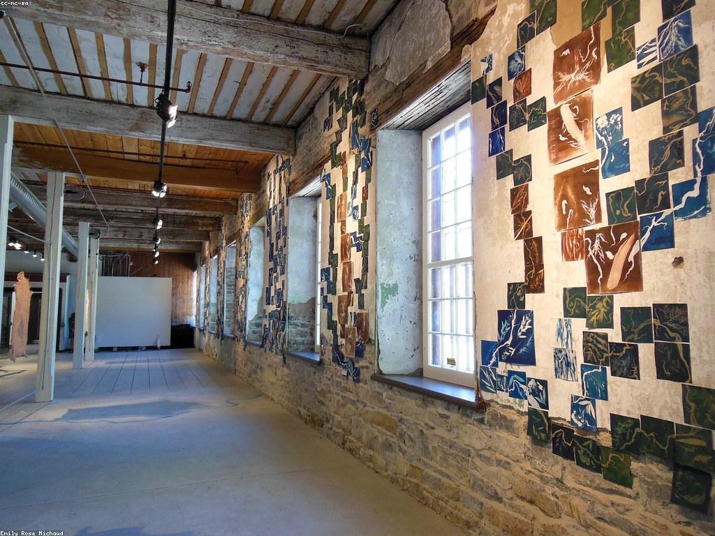 វិធីការចូលរួមនៅក្នុងសកម្មភាពសង្គម