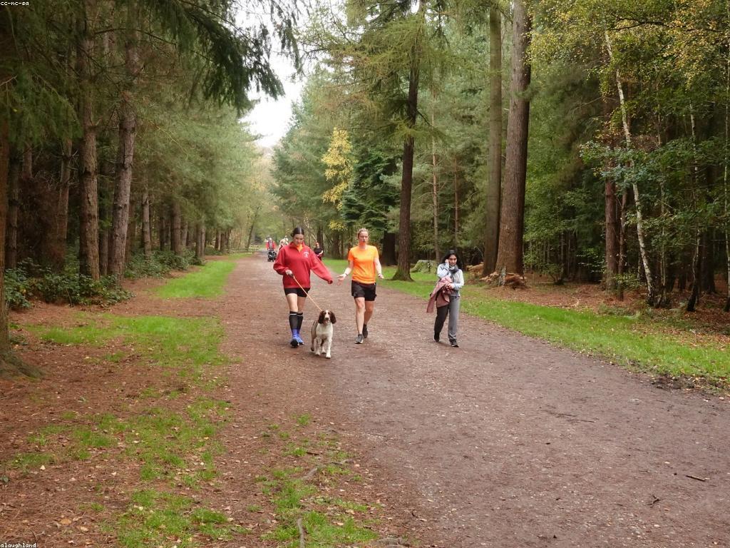 វិធីការចូលរួមក្នុងសេវាកម្មសហគមន៍